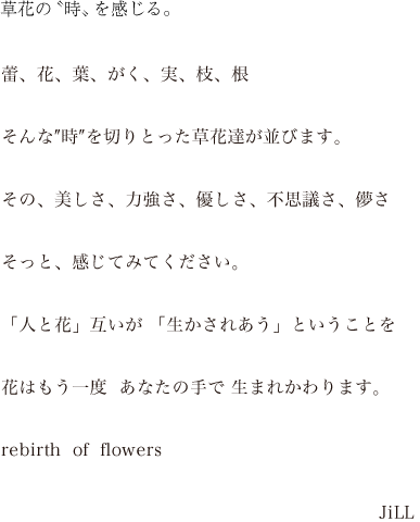 草花の〝時〟を感じる。蕾、花、葉、がく、実、枝、根そんな″時″を切りとった草花達が並びます。その、美しさ、力強さ、優しさ、不思議さ、儚さそっと、感じてみてください「人と花」互いが 「生かされあう」ということを。花はもう一度  あなたの手で 生まれかわります。rebith  of  flowers JiLL